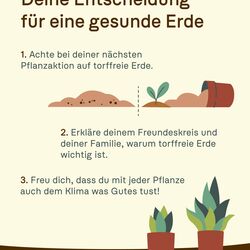 Infografik mit drei Tipps: torffreie Erde kaufen, Freunde aufklären und sich über den Klimabeitrag freuen.