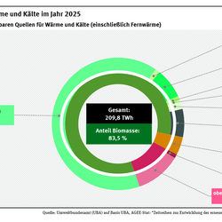 Ein Ringdiagramm stellt die Zusammensetzung des Endenergieverbrauchs erneuerbarer Energieträger für Wärme und Kälte im Jahr 2025 dar.