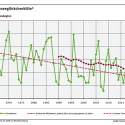 Das Liniendiagramm zeigt den Zeitpunkt des Blühbeginns des Schneeglöckchens (Tage ab Jahresbeginn, Gebietsmittel für Deutschland) seit 1961. Der lineare Trend zeigt, dass sich der Zeitpunkt tendenziell in Richtung Jahresbeginn verschiebt. 