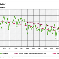 Das Liniendiagramm zeigt den Zeitpunkt des Blühbeginns bei Apfel (Tage ab Jahresbeginn, Gebietsmittel für Deutschland) seit 1961. Der lineare Trend zeigt, dass sich der Zeitpunkt tendenziell in Richtung Jahresbeginn verschiebt.