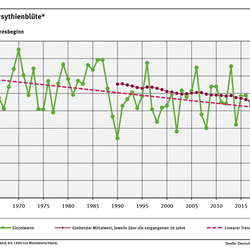 Das Liniendiagramm zeigt den Zeitpunkt des Blühbeginns bei Forsythien (Tage ab Jahresbeginn, Gebietsmittel für Deutschland) seit 1961. Der lineare Trend zeigt, dass sich der Zeitpunkt tendenziell in Richtung Jahresbeginn verschoben hat.