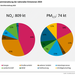 NOx-Emissionen Diesel PKW Illustration