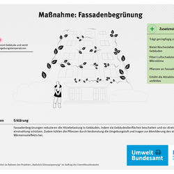 Infografik zur Maßnahme Fassadenbegrünung: Begrünte Gebäudefassade reduziert Hitze, kühlt durch Verdunstung und verbessert das Mikroklima. Pflanzen filtern Luftschadstoffe, speichern CO₂ und schaffen Lebensräume. Zusätzliche Effekte sind eine leicht erhöhte Luftfeuchte und eine attraktivere Wohnumgebung.