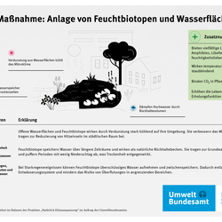 Infografik zur Maßnahme Anlage von Feuchtbiotopen und Wasserflächen: Naturnahe Wasserflächen und Feuchtbiotope kühlen durch Verdunstung das Mikroklima und wirken temperaturausgleichend.