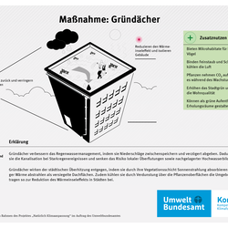 Infografik zur Maßnahme Gründächer: Begrünte Dächer speichern Regenwasser, kühlen durch Verdunstung die Umgebung, reduzieren Hitze in Städten und verbessern zugleich Luftqualität, Biodiversität und Wohnumfeld.