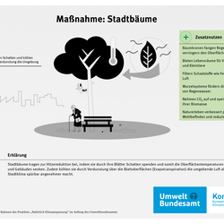 Infografik zur Maßnahme Stadtbäume: Stadtbäume spenden Schatten, kühlen durch Verdunstung die Umgebung, verbessern Luftqualität, fördern die Wasserversickerung und tragen zur Lebensqualität sowie Biodiversität in Städten bei.