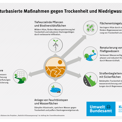 Infografik zu naturbasierten Maßnahmen gegen Trockenheit und Niedrigwasser: Maßnahmen wie Entsiegelung, Feuchtbiotope, grüne Korridore und tiefwurzelnde Pflanzen verbessern die Wasserspeicherung, fördern die Grundwasserneubildung und erhöhen die Resilienz gegenüber Trockenperioden.