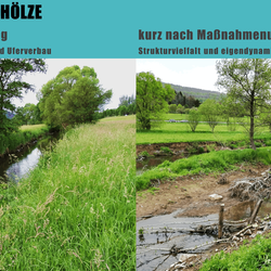 Renaturierung Dietzhölze in Eschenburg