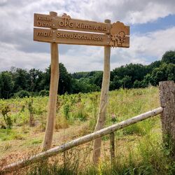 Das Bild zeigt das aus Holz in der Schule selbst gestaltete und hergestellte Schild für den OPG-Klimawald und die angrenzende Streuobstwiese