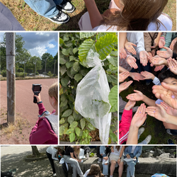 Das Bild zeigt verschiedene Aktionen am Projekttag "Hitze": eine Schülerin, die verschiedene Oberflächen mit der Wärmebildkamera untersucht und Kinder, die UV-Perlen in die Kamera halten.