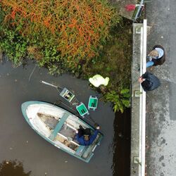 Das Bild zeigt aus der Vogelperspektive die Installation einer Nala-Wassersonde. Ein Angler und ein Ingenieur lassen die Sensortechnik vom Boot aus ins Wasser, während Projektbeteiligte auf der Brücke die Arbeiten begleiten.