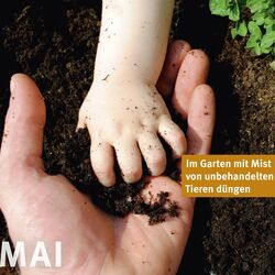 Foto von Kinder- und Erwachsenenhand mit Gartenboden, darüber Text: Im Garten mit Mist von unbehandelten Tieren düngen