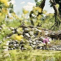Gartenteich mit Steinen und Grün drumherum