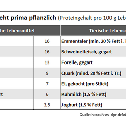 Tabelle: Proteine – es geht prima pflanzlich