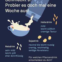 Übersicht der Geschmacksprofile von Haferdrink (mild/cremig), Sojadrink (nussig/reichhaltig) und Reisdrink (sehr mild/dünnflüssig).