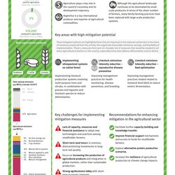 Übersicht der Key Facts und größten Minderungspotenziale der Landwirtschaft in Argentinien