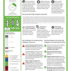 Übersicht der Key Facts und größten Minderungspotenziale der Landwirtschaft in Ägypten