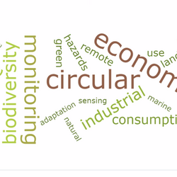 A word cloud related to sustainability topics.