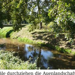Kanäle durchziehen die Auenlandschaft(Bild)