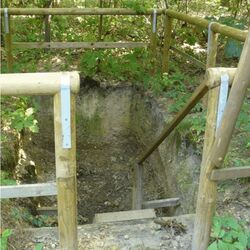 Profil einer Parabraunerde