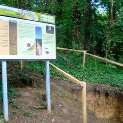 Foto eines Bodenprofils mit Infotafel