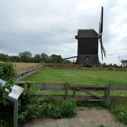 Foto des Bockwindmühle in Asel