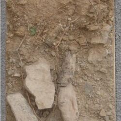 Foto eines präparierten Bodenprofisl aus dem Ruhr Museum Essen