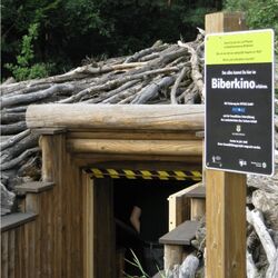 Foto des Biberkinos