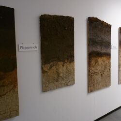 Foto der Profilsammlung der AG Bodenkunde