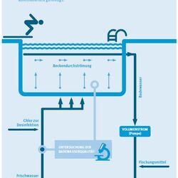 Infografik "Aufbereitung des Badebeckenwassers"