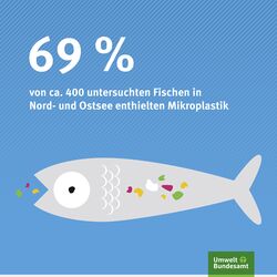 Plastik in Fischen