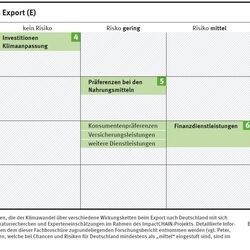 Infografik: Risiken und Chancen beim Export