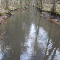 Foto des Flusses Wieslauter