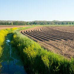 Footo eines kleinen Baches entlang einer Ackerfläche