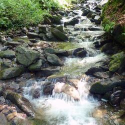 Foto eines Gebirgsbaches