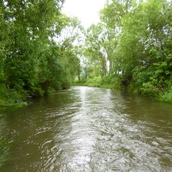 Foto des Flusses Kyll