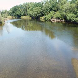 Blick auf die Mulde in Dessau