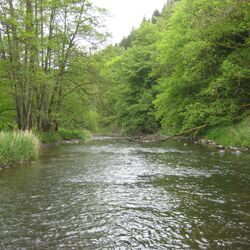 Foto des Flusses Our