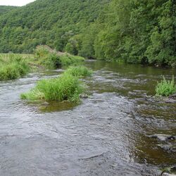 Foto des Flusses Prüm