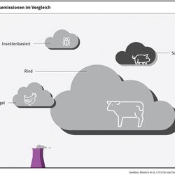 Wolkengrafik Treibhausgasemissionen insektenbasierten Fleischersatzes im Vergleich