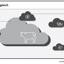 Wolkengrafik Treibhausgasemissionen pflanzlicher Fleischersatzstoffe im Vergleich