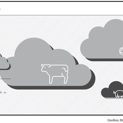 Wolkengrafik Treibhausgasemissionen von in-vitro-Fleisch im Vergleich