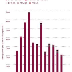 Balkengrafik mit PFAS-Gehalten.