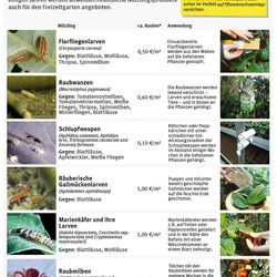 Zahlreiche Nützlinge können im Garten und im Gewächshaus unauffällig aber effektiv gegen Schaderreger eingesetzt werden.