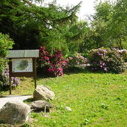Blick auf Infotafel "Ohne Wald geht es nicht, sonst verlieren wir"