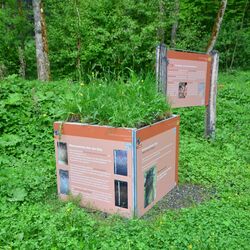 Kubus mit einem Grundwasserboden (Gley)