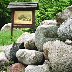 Blick auf Infotafel "Leben im Steinhaufen"