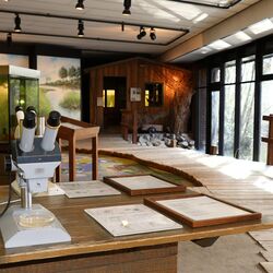 Dauerausstellung "Dümmerlandschaft"