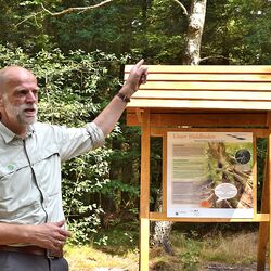 Neue Attraktion im Langenberger Forst: Bodenerlebnispfad rund um die Fischteiche