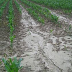 Erosion durch Wasser 